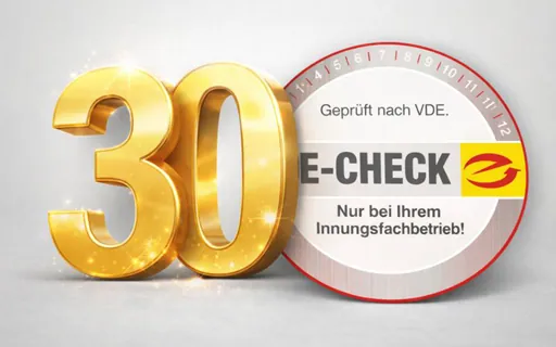 Illustration 30 Jahre E-CHECK